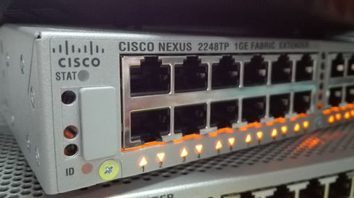 網絡工程畢業生的職業圖鑒 他們在哪里，后悔了嗎？